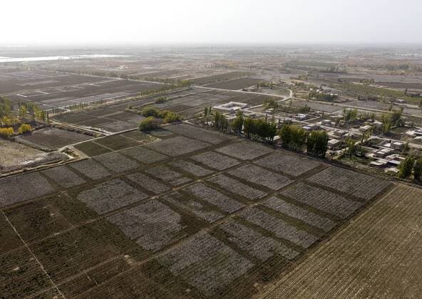 IMAGO Nature: Unsere Erde, Klimawandel, Baumwolle Landwirtschaft, Baumwoll Anbau Baumwollernte in China (161025) -- AKSU, Oct. 25, 2016 -- Photo taken on Oct. 24, 2016 shows cotton fields in Awat County, northwest China s Xinjiang Uygur Autonomous Region. The cotton harvest is estimated to finish at the end of October in the Tarim Basin, a main cotton producing area in the country. ) (wyo) CHINA-XINJIANG-COTTON-PICKING (CN) ZhaoxGe 
