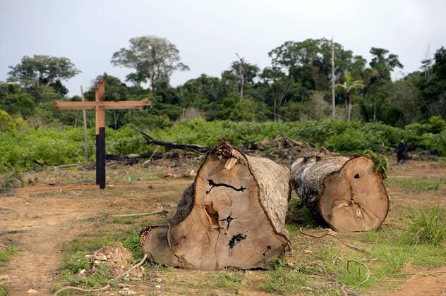 IMAGO Nature: Unsere Erde, Umweltverträgliche Herausforderungen, Regenwald Brazil, Para, Trairao, illegally lumbered trees of Amazon rainforest  FLKF00704