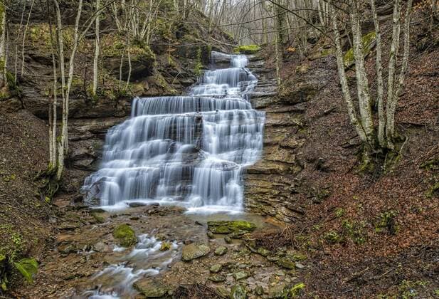 Italy, Emilia-Romagna, Foreste Casentinesi National Park, Waterfall  LOMF000379
