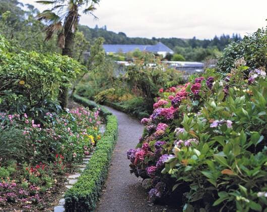 Scotland, Highland, Wester Ross, Inverewe Gardens. Over 2500 species of plants flourish at Inverewe Gardens, Highland, Scotland.  Copyright: xRicxErgenbrightx xDanitaxDelimont EU36 RER0027