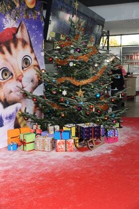 Weihnachtsbaum und Geschenke auf dem roten Teppich am 29.10.2016 in Köln bei der Premiere des Films Pettersson und Findus - Das schönste Weihnachten überhaupt im Cinedom in Köln.