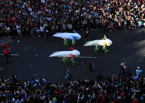 A view of the Main Square of Mexico City during the Day of the Dead parade in Mexico City, Mexico, 29 October 2016. EFE Mario Guzman DAY OF THE DEAD PARADE IN MEXICO !ACHTUNG: NUR REDAKTIONELLE NUTZUNG!  MEX002 20161030-636133861303209257