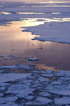 IMAGO Nature: Unsere Erde, Klimawandel, Arktische und Antarktische Eisschmelze Antarctica, Amundsen Sea. Pancake ice at sunset.  Copyright: xDaisyxGilardinix xDanitaxDelimont AN02 DGI0009