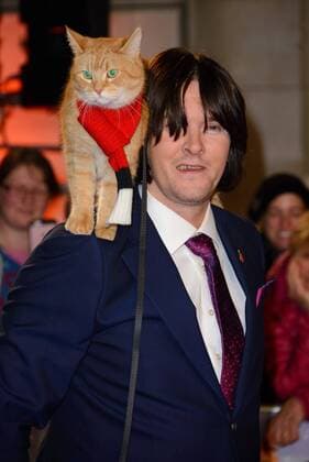 Bilder des Tages . 03 11 2016. London, United Kingdom. Bob and James Bowen attend the World Premiere of A Street Cat Named Bob.  xChrisxJosephx xi-Imagesx IIM-13750-0013