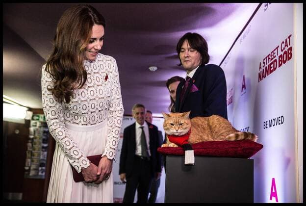 . 03 11 2016. London, United Kingdom. The Duchess of Cambridge arriving at A Street Cat Named Bob premiere in London. The Duchess of Cambridge greets Bob the cat the star of the new film A street cat named Bob in aid of the charity Action on Addiction of which she is a patron. With Bob is his owner James Bowen whose story is depicted in the film. ÔA Street Cat Named BobÕ tells the true story of the unlikely friendship between a young homeless busker, James Bowen, and the stray ginger cat who changes his life. The charity Action on Addiction brings help, hope and freedom to those living with addiction and those living with people who suffer problems of addiction. It is the UKÕs only charity working across the addiction field in treatment, professional education to honours degree level, support for families and children, research, and campaigns.  xi-Imagesx xPoolx IIM-13748-0020