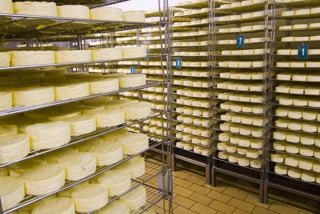 France, Briouze, Gillot Dairy, production of camembert cheese, drying room  Copyright: xAldoxPavanx xDanitaxDelimont EU09 APA0009