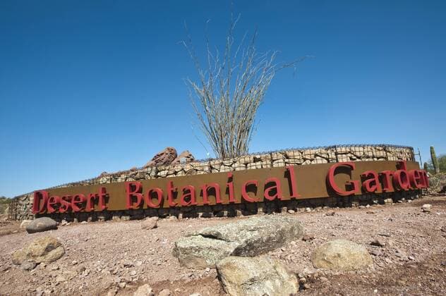 Phoenix, Arizona. Desert Botanical Garden.  Copyright: xMichaelxDeFreitasx xDanitaxDelimont US03 MDE0022