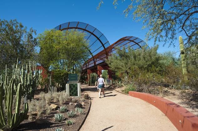Cactus gallery at Desert Botanical Garden, Phoenix, Arizona, USA  Copyright: xMichaelxDeFreitasx xDanitaxDelimont US03 MDE0024