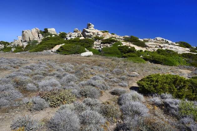 Garigue und Felsformation auf Sardinien, Italien, Sardinien, Gallura garigue on Sardinia, Italy, Sardegna, Gallura BLWS438456 Copyright: xblickwinkel B.xTrappx