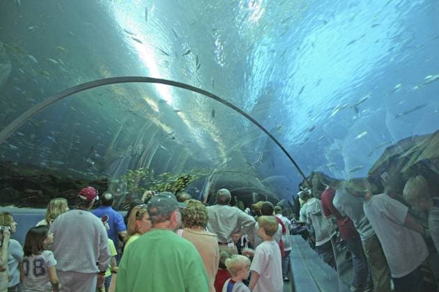 Interior people at Georgia Aquarium in Atlanta Georgia  Copyright: xGibsonxColorxPhotographyx xDanitaxDelimont US11 MGI0013