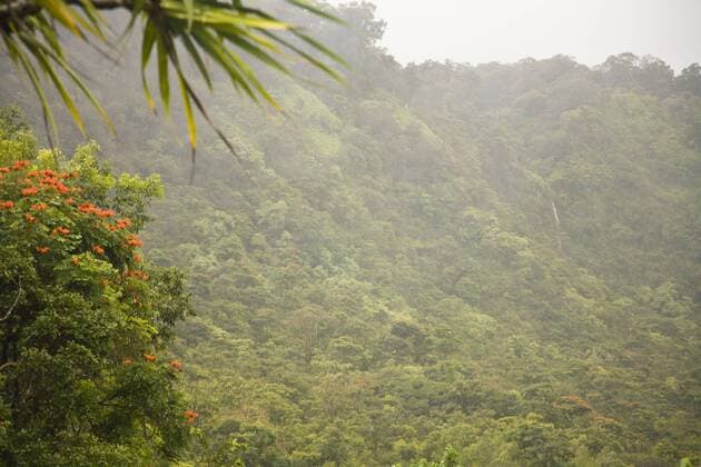 Maui, Hawaii, USA  Copyright: xRobinxWestmorlandx(SWS)x xDanitaxDelimont US12 SWS0060