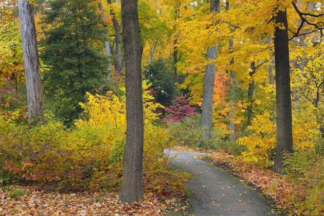 Autumn colors in black and white, Longwood Gardens, Pennsylvania  Copyright: xAdamxJonesx xDanitaxDelimont US39 AJE0001