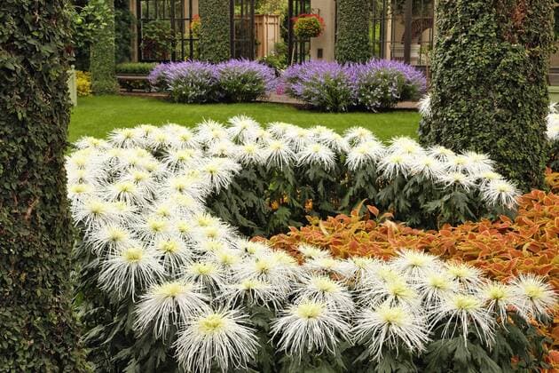 Autumn view of Longwood Gardens, Pennsylvania, USA  Copyright: xAdamxJonesx xDanitaxDelimont US39 AJE0003