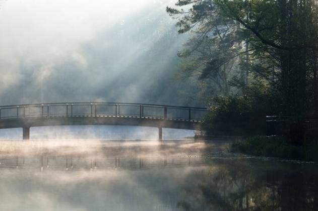 USA: Georgia USA, Georgia, Callaway Gardens. Sunlit mist on bridge over lake. Credit as: Nancy Rotenberg Jaynes Gallery DanitaDelimont.com  Copyright: xBillxJaynesx(BJA)x xDanitaxDelimont US39 BJA0066
