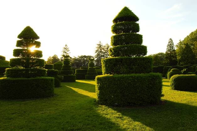 Topiary trees at Longwood Gardens Kennett Square Pennsylvania  Copyright: xEllenxClarkx xDanitaxDelimont US39 ECL0052