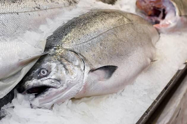 USA; Washington; Seattle; Pike Place Market, Fresh Caught Salmon On Ice  Copyright: xPetalsx&xRicexLLCx xDanitaxDelimont US48 AKS0045
