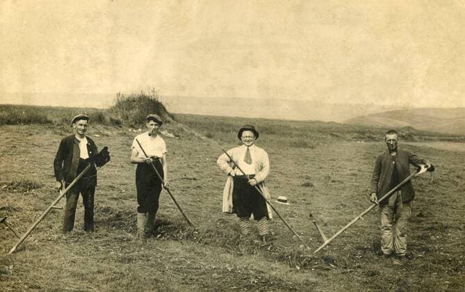 Farmers with scythes in the field, Germany x17552x 
