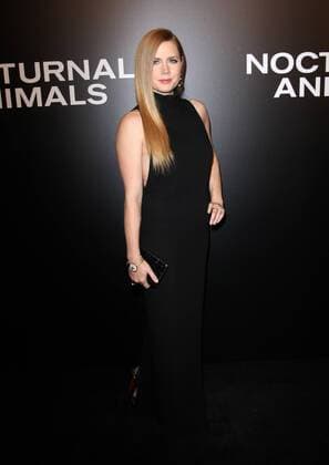 November 11, 2016 - Los Angeles, CA, United States - 11 November 2016 - Los Angeles, California - Amy Adams. Nocturnal Animals Los Angeles Screening held at the Hammer Museum. Photo Credit: AdMedia Los Angeles United States - ZUMAa123 20161111_zaa_a123_315