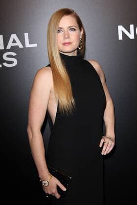 November 11, 2016 - Los Angeles, CA, United States - 11 November 2016 - Los Angeles, California - Amy Adams. Nocturnal Animals Los Angeles Screening held at the Hammer Museum. Photo Credit: AdMedia Los Angeles United States - ZUMAa123 20161111_zaa_a123_316
