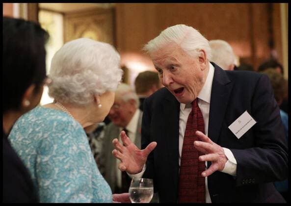 . 15 11 2016. London, United Kingdom. The Queen s Commonwealth Canopy. Queen Elizabeth II with Sir David Attenborough during an event at Buckingham Palace, London, to showcase forestry projects that have been dedicated to the new conservation initiative - The Queen s Commonwealth Canopy (QCC). Launched by The Queen at the Commonwealth Heads of Government Meeting in Malta last year, an appeal was made to all 52 Commonwealth nations to contribute areas of indigenous forest to be preserved in perpetuity to mark the lifetime of service to the Commonwealth.  xi-Imagesx xPoolx IIM-13822-0013