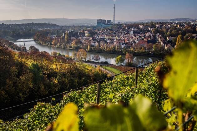 Stuttgart, Weinberge entlang des Neckars. Hier Stuttgart Hofen Weinberge in Stuttgart