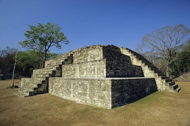 Step pyramid in the great plaza, Mayan archaeological site, Copan, Western Highlands, Honduras, Central America Copyright: RobertxFrancis 83-7331