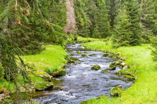 test Nationalparks Å umava Tschechien