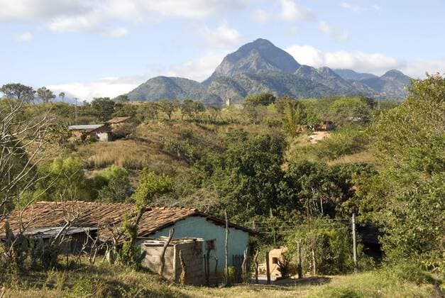 Sierra Madre de Chiapas, Mexico, North America Copyright: TonyxWaltham 29-5200