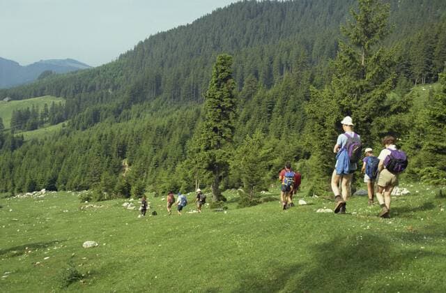 Piatra Craiului Mountains, Carpathians, Transylvania, Romania, Europe Copyright: ChristopherxRennie 391-1918