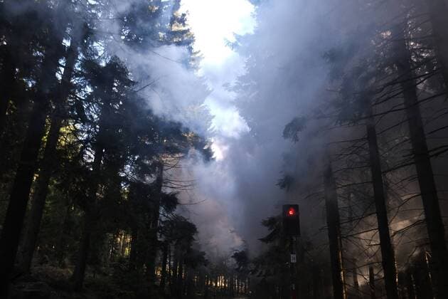 Fahrt mit dem historischen Dampfzug der Harzer Schmalspurbahnen am Tag zum Brocken. u.B.z. Wegstrecke der HSb durch dunklen Tannenwald mit rotel Signal und Rauchschwaden auf dem Weg zum Brocken. Die Harzer Schmalspurbahnen GmbH (HSB) mit Sitz in Wernigerode ist eine Eisenbahngesellschaft die ein zirka 140 km langes Netz von zumeist dampfbetriebene Schmalspurstrecke im Harz betreibt. Es handelt sich heute um das längste zusammenhängende dampfbetriebene Streckennetz in Europa. Dieses Netz mit der Spurweite von 1000 mm (Meterspur) besteht aus den Strecken Harzquerbahn, Selketalbahn und Brockenbahn. Auch die Anfangsbuchstaben der Strecken ergeben das Kürzel der Bahngesellschaft. Die Strecken sind ganzjährig in Betrieb. Fahrt mit dem historischen Dampfzug der Harzer Schmalspurbahnen am Tag zum Brocken im Harz im Bundesland Sachsen-Anhalt.