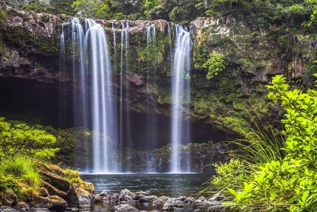 Rainbow Falls, a waterfall at Kerikeri in the Bay of Islands, Northland Region, North Island, New Zealand, Pacific Copyright: MatthewxWilliams-Ellis 1109-2796