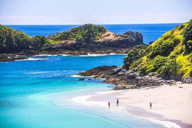White sandy beach in the Bay of Islands, in the Waikare Inlet, visited by sailing boat from Russell, Northland Region, North Island, New Zealand, Pacific Copyright: MatthewxWilliams-Ellis 1109-2819