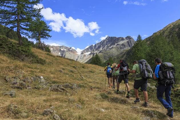 A group of hikers walking in the woods before reaching the peak, Minor Valley, High Valtellina, Livigno, Lombardy, Italy, Europe Copyright: RobertoxMoiola 1179-785