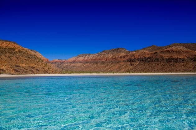 Isla del Espiritu Santo, Baja California Sur, Mexico, North America Copyright: LauraxGrier 1218-253
