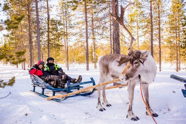 IMAGO Creative: Countdown bis Weihnachten, Nach Hause reisen Couple on Reindeer Safari, Kakslauttanen Igloo Village, Saariselka, Finland, Scandinavia, Europe Copyright: LauraxGrier 1218-267