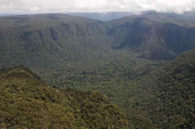 Aerial view of mountainous rainforest in Guyana, South America Copyright: MickxBainesx&xMarenxReichelt 971-110
