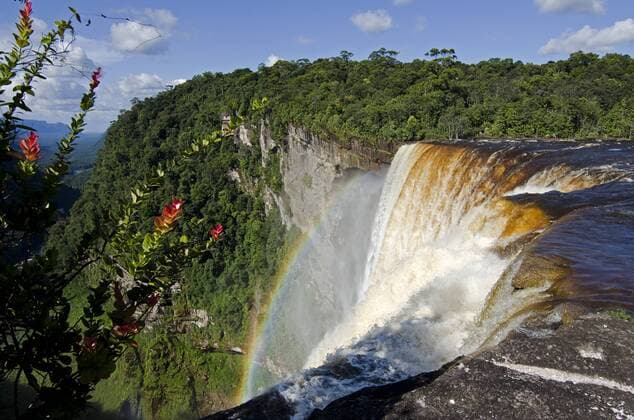 View across the rim of Kaieteur Falls, Guyana, South America Copyright: MickxBainesx&xMarenxReichelt 971-113