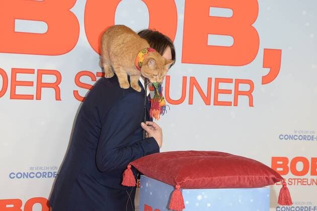 BOB, der Streuner BOB der Streuner, James Bowen Ankunft PREMIERE BOB, der Streuner nach einer wahren Geschichte, im Kino in der Kulturbrauerei in Berlin am 06.12.2016 APP