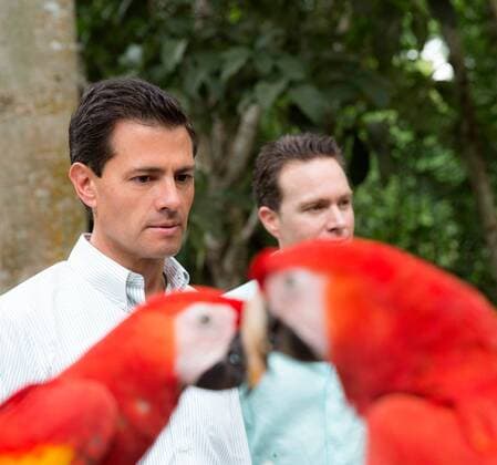 Mexiko - Präsident Nieto im Urwaldgebiet Selva Lacandona December 6, 2016 - Selva Lacandona, Chiapas, Mexico - Mexican President Enrique Pena Nieto and Gov. Manuel Velasco, right, view endangered scarlet macaws during a tour of the Lacondon jungle December 6, 2016 in Selva Lacandona, Chiapas, Mexico. The president toured the remote region and declared it a protected biosphere zone for both the habitat and indigenous people. Selva Lacandona Mexico - ZUMAp138 20161206_zaa_p138_047