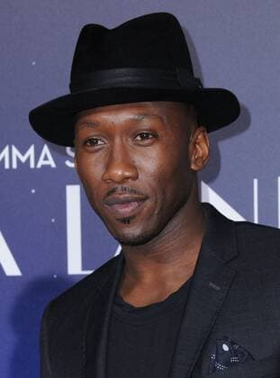 December 6, 2016 - Westwood, CA, United States - 06 December 2016 - Westwood, California. Mahershala Ali. Premiere of Liongate s La La Land held at Mann Village Theater. Photo Credit: AdMedia Westwood United States - ZUMAa123 20161206_zaa_a123_091
