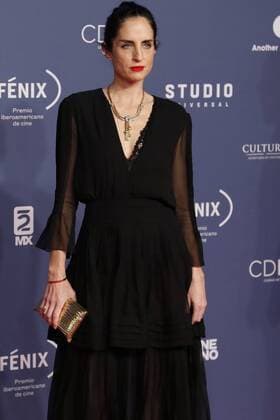 Fenix Awards in Mexiko-Stadt December 7, 2016 - Mexico - EUM20161207ESP20.JPG.CIUDAD DE MEXICO.- Prize Premios Fenix.- Carolina Herrera en la Alfombra Roja para la entrega de los Premios Fenix, la noche del miercoles 7 de diciembre de 2016.  - ZUMAu78_ 20161207_zaf_u78_082