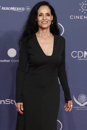 Fenix Awards in Mexiko-Stadt December 7, 2016 - Mexico - EUM20161207ESP21.JPG.CIUDAD DE MEXICO.- Prize Premios Fenix.- La actriz Sonia Braga en la Alfombra Roja para la entrega de los Premios Fenix, la noche del miercoles 7 de diciembre de 2016.  - ZUMAu78_ 20161207_zaf_u78_084