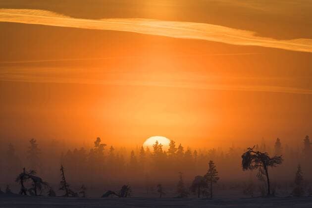 Winterlandschaft in einem Sumpfgebiet bei Sonnenuntergang, Schweden, Lappland, Norrbotten, Muddus Nationalpark winter landscape in a wetland at sunset, Sweden, Lapland, Norrbotten, Muddus NP BLWS441868 Copyright: xblickwinkel McPHOTO G.xStreux