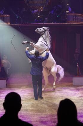 Sandor Donnert mit seiner Pferde-Dressur bei der Premiere des 13. Roncalli Weihnachtscircus im Tempodrom. Berlin, 16.12.2016 Foto:xT.xBartillax xFuturexImage