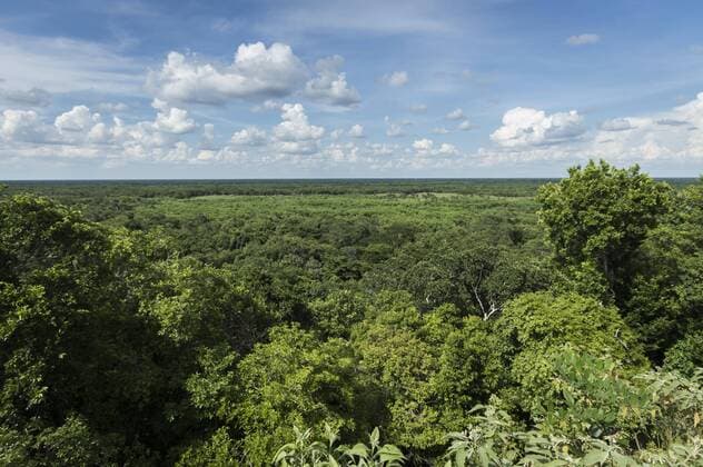 Ausblick auf den Dschungel von der Spitze der Maya-Ruine Ek Balam, Yucatan, Mexiko, Mittelamerika Copyright: imageBROKER/EduardoxFusterxSalamero iblefu04425297.jpg