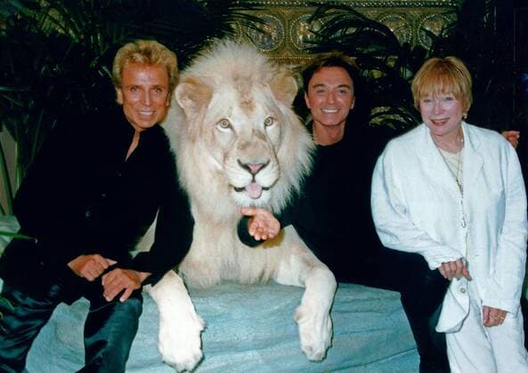 Die beiden deutsch amerikanischen Magier Siegfried und Roy mit einem weißen Löwen und Schauspielerin Shirley MacLaine, 1990er Jahre. German American magicians Siegfried and Roy with white lion and actress Shilrey MacLaine, 1990s. Copyright: TBM UnitedArchives100890