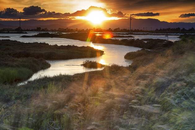 Spain, Tarragona, Ebro Delta, Tancada lagoon at sunset  DSGF01169