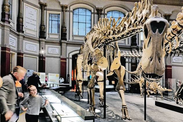 Berlin Mitte, Naturkundemuseum an der Invalidenstraße, Saal mit Dinosaurier Naturkundemuseum