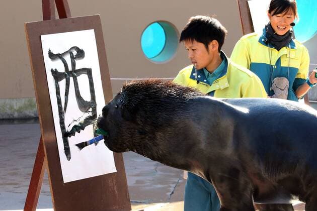 Malender Seelöwe im Hakkeijima Sea Paradise Aquarium in Yokohama January 3, 2017, Tokyo, Japan - 15-year-old male sea lion Leo writes the word Rooster in Chinese character as part of a New Year s attraction at the Hakkeijima Sea Paradise aquarium in Yokohama on Tuesday, January 3, 2017. Leo wrote Rooster to celebrate the Year of Rooster of Chinese zodiac.  (lwxa007248)