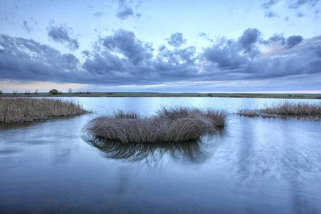 Spain, Laguna de la Nava  DSGF01190